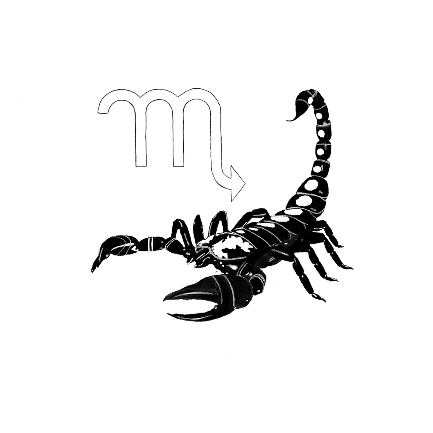 Zodiac sign Scorpio
